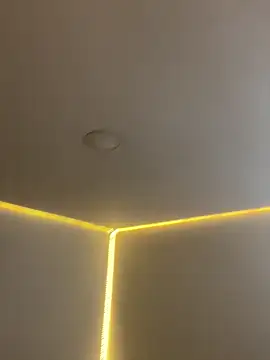 AmmyCollinsW online show from March 16, 2026, 9:06 pm