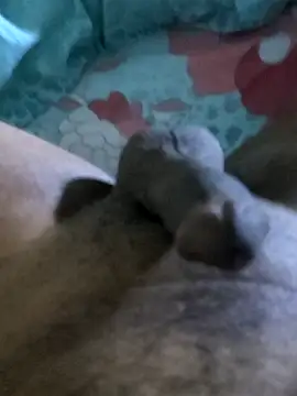 SexedFlatworm online show from October 27, 2025, 8:54 pm