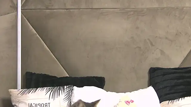 Snapshot of AishaHummer chatting on September 30, 2025, 4:57 pm AishaHummer online show from September 30, 2025, 4:57 pm