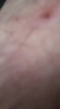 Snapshot of nevessartori chatting on December 27, 2024, 10:05 pm nevessartori online show from December 27, 2024, 10:05 pm