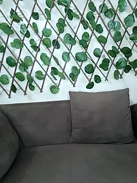 Snapshot of Bold-Cat chatting on October 15, 2025, 5:43 pm Bold-Cat online show from October 15, 2025, 5:43 pm