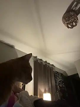 SmokingSloth online show from November 13, 2025, 6:17 am