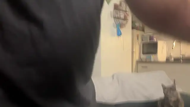 Snapshot of SpunCandy chatting on February 28, 2026, 9:25 pm SpunCandy online show from February 28, 2026, 9:25 pm