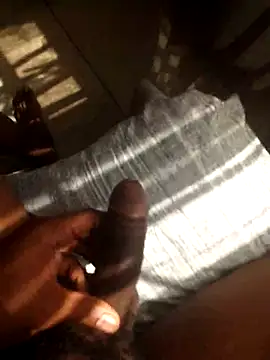 Snapshot of veeseec chatting on November 12, 2025, 12:42 pm veeseec online show from November 12, 2025, 12:42 pm