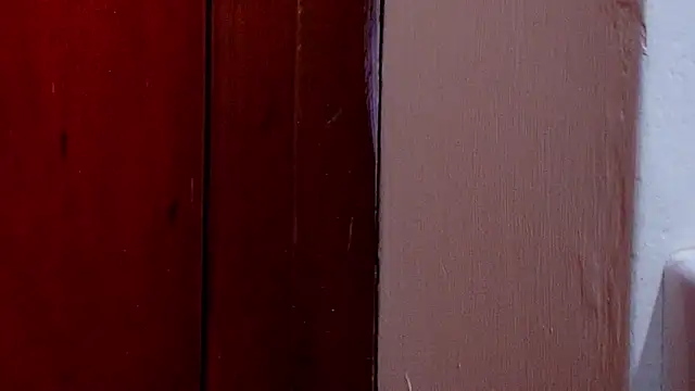 Snapshot of anisha_x chatting on October 25, 2025, 7:14 pm anisha x online show from October 25, 2025, 7:14 pm