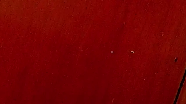 Snapshot of anisha_x chatting on October 4, 2025, 7:04 pm anisha x online show from October 4, 2025, 7:04 pm