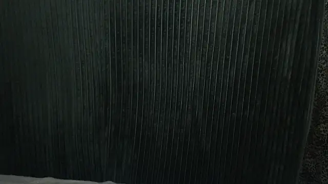 Snapshot of 1BECHA1 chatting on December 3, 2025, 7:41 am 1BECHA1 online show from December 3, 2025, 7:41 am