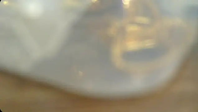 Rashisharma online show from October 14, 2025, 12:06 pm