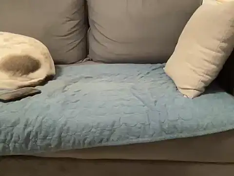 Snapshot of 4small4inchlol chatting on February 20, 2026, 11:50 pm 4small4inchlol online show from February 20, 2026, 11:50 pm