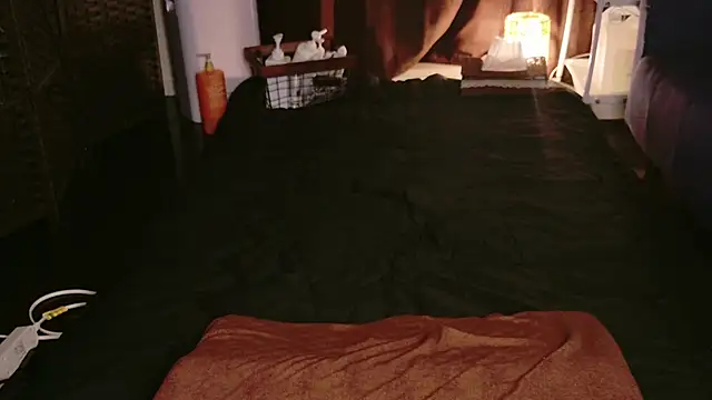 Snapshot of JP-MINT_oO_investigation_ chatting on October 8, 2025, 10:54 pm JP-MINT oO investigation  online show from October 8, 2025, 10:54 pm