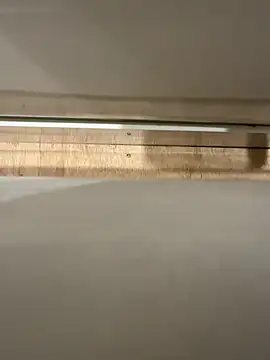 Snapshot of young1fucker chatting on December 14, 2024, 6:20 pm young1fucker online show from December 14, 2024, 6:20 pm