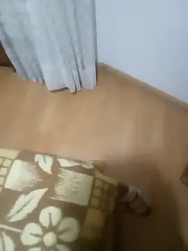 Snapshot of rush6983 chatting on November 6, 2025, 1:31 am rush6983 online show from November 6, 2025, 1:31 am