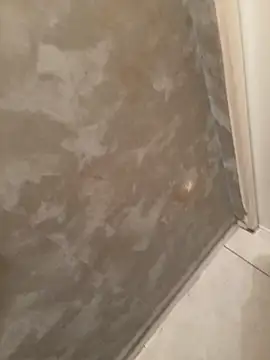 voliv34 online show from February 13, 2026, 1:55 pm