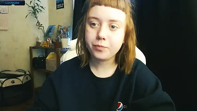 June shy0 online show from December 12, 2024, 8:03 am