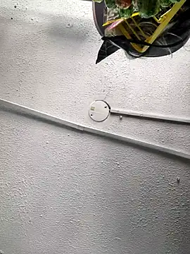 Snapshot of Edged_Hot69 chatting on October 24, 2025, 3:33 pm Edged Hot69 online show from October 24, 2025, 3:33 pm