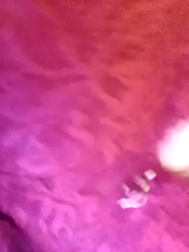 JAWHARA  online show from November 12, 2025, 11:30 pm