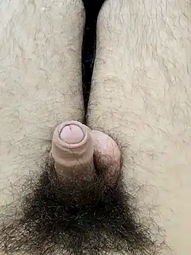 hungarian dick online show from February 7, 2025, 9:05 am