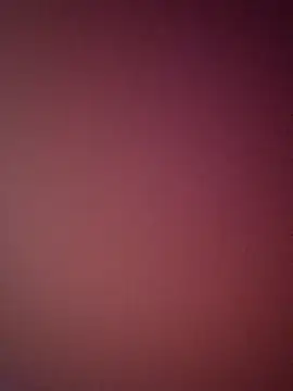 bustybillies online show from April 3, 2026, 4:52 am