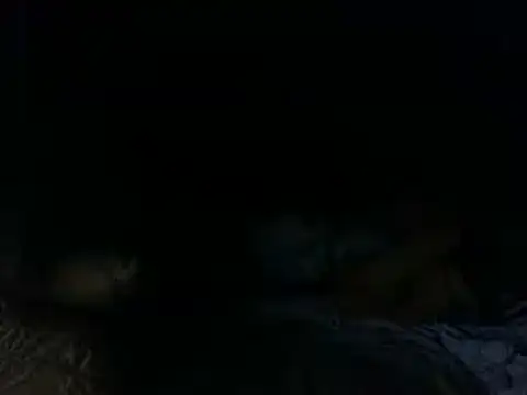 TUMORENO1 online show from March 10, 2025, 12:50 am