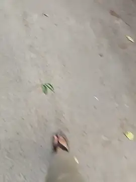 Snapshot of Ishan003 chatting on September 20, 2025, 10:31 am Ishan003 online show from September 20, 2025, 10:31 am