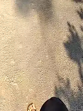 Snapshot of Ishan003 chatting on September 19, 2025, 2:04 am Ishan003 online show from September 19, 2025, 2:04 am