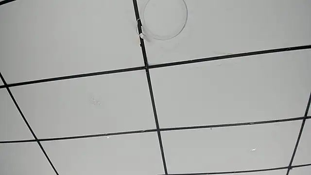 Snapshot of Sophia_Lemos chatting on October 18, 2025, 1:46 pm Sophia Lemos online show from October 18, 2025, 1:46 pm