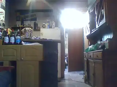 Snapshot of ar_Lily chatting on December 8, 2024, 6:17 pm ar Lily online show from December 8, 2024, 6:17 pm