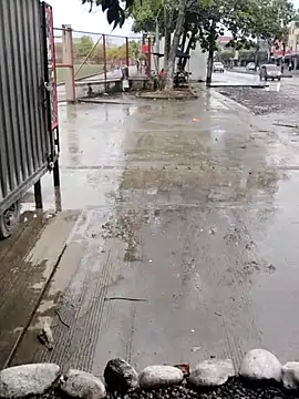 Snapshot of BeetledFlouter12 chatting on September 26, 2025, 7:10 pm BeetledFlouter12 online show from September 26, 2025, 7:10 pm