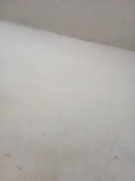 ambarlennoix online show from October 1, 2025, 5:56 am