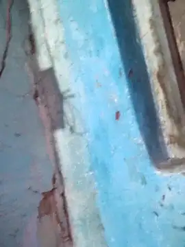 Natasha-In69 online show from December 15, 2025, 8:47 pm