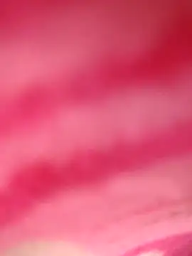 Snapshot of Natasha-In69 chatting on January 4, 2025, 9:52 pm Natasha-In69 online show from January 4, 2025, 9:52 pm