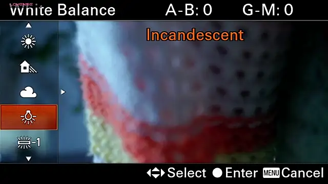 WandaCounsell online show from September 14, 2025, 1:17 am