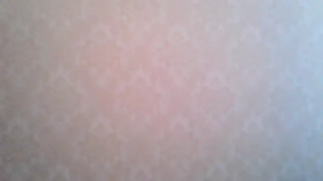 Kashtanka  online show from February 20, 2026, 8:16 am