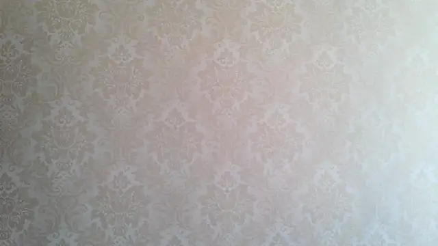 Kashtanka  online show from October 1, 2025, 8:08 am