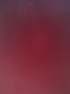 maria4465 online show from February 22, 2026, 2:30 pm