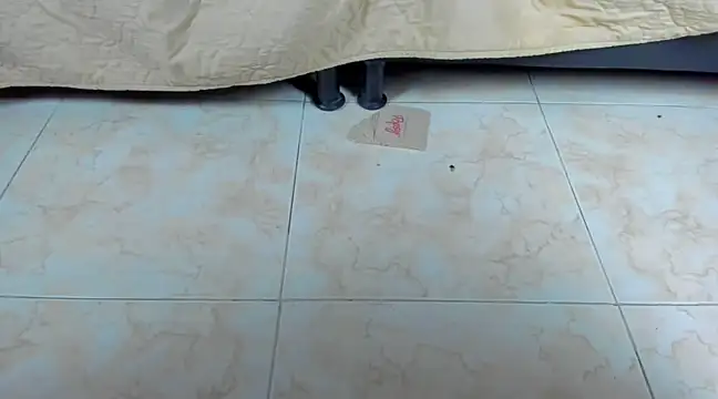 Chloe lauren online show from January 19, 2025, 1:32 am