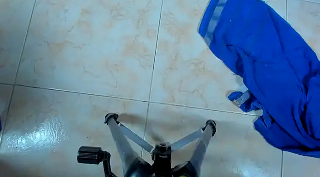 Chloe lauren online show from January 16, 2025, 7:07 am