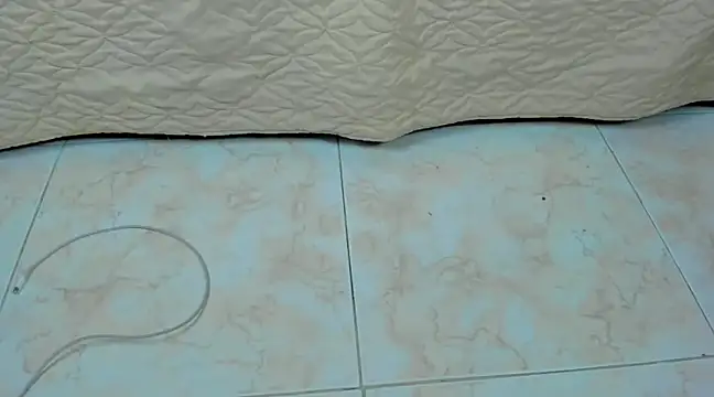 Chloe lauren online show from December 24, 2024, 8:11 am