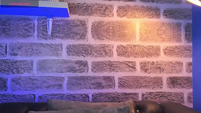 Snapshot of noah_ricci chatting on October 14, 2025, 12:50 pm noah ricci online show from October 14, 2025, 12:50 pm