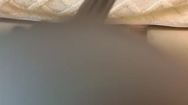 Ariana Lu online show from March 8, 2025, 11:37 am