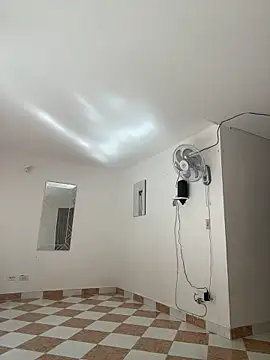 Lyon vach online show from November 7, 2025, 7:51 pm