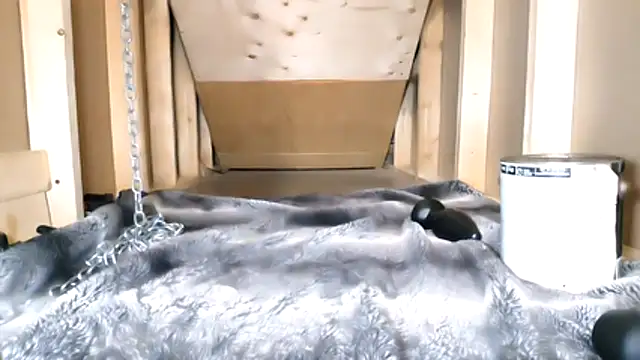 cbtbetaloser online show from February 16, 2026, 5:17 am