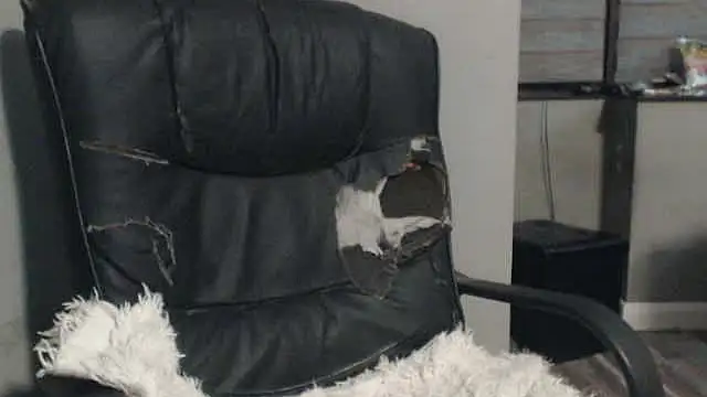 Snapshot of sexyfuckers chatting on October 28, 2025, 3:07 am sexyfuckers online show from October 28, 2025, 3:07 am