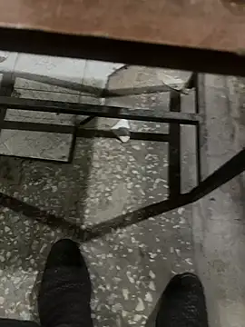 homidor online show from January 11, 2025, 6:44 pm