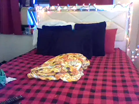 Snapshot of lachulalarubie chatting on January 12, 2025, 10:01 pm lachulalarubie online show from January 12, 2025, 10:01 pm