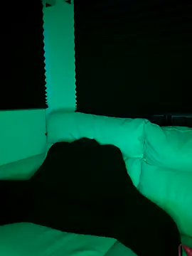 Snapshot of butterflybootyy chatting on September 18, 2025, 6:05 am butterflybootyy online show from September 18, 2025, 6:05 am