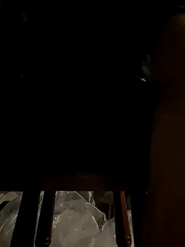 portugadopau online show from November 23, 2025, 7:46 pm