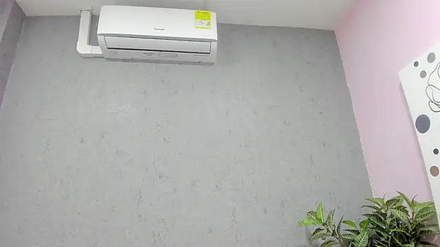 Tiffany mendez online show from December 2, 2025, 12:07 pm