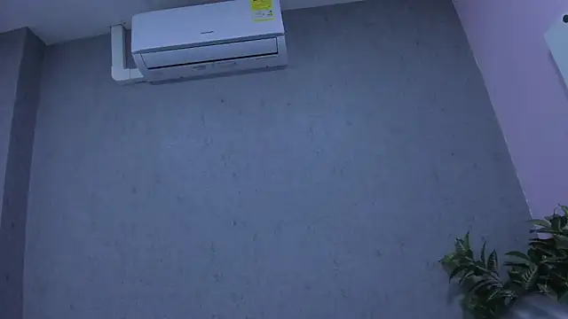 Tiffany mendez online show from December 3, 2025, 12:04 pm