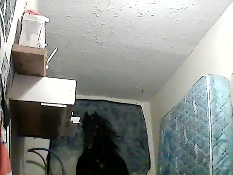 Snapshot of lilbishmiss chatting on January 26, 2025, 6:38 am lilbishmiss online show from January 26, 2025, 6:38 am